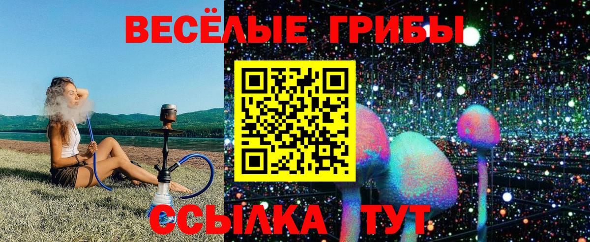 Псилоцибиновые грибы GOLDEN TEACHER Лесозаводск