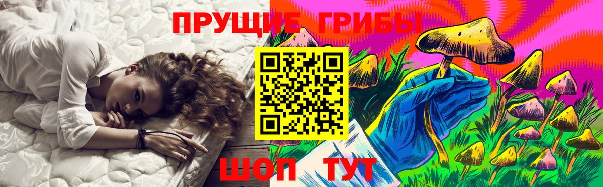 Лесозаводск  Галлюциногенные грибы Psilocybe  Вход с VPN 